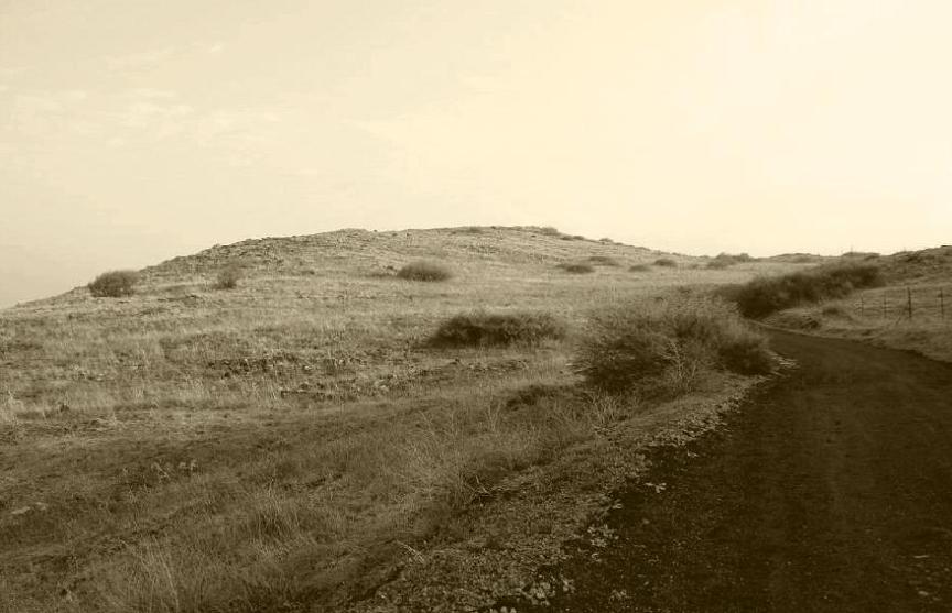 תל אבו חנזיר [גבעת האם], צילום מדרום לכיוון צפון